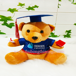 Gấu bông tốt nghiệp trường Đại Học Hoa Sen