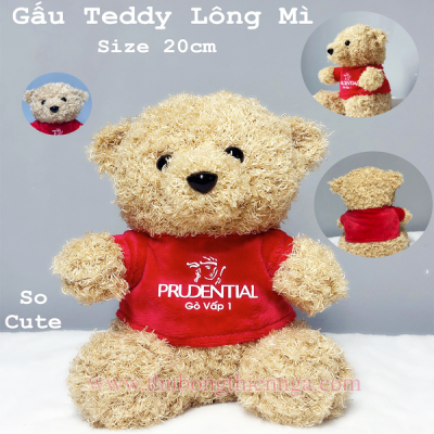 GẤU BÔNG TEDDY LÔNG MÌ