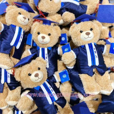 GÂU BÔNG TEDDY TỐT NGHIỆP UEL HỢP ĐỒNG