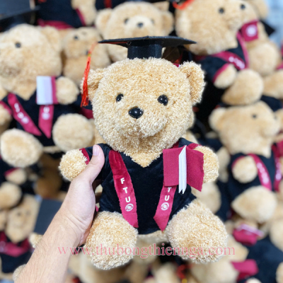 GẤU BÔNG TEDDY LÔNG MÌ HỢP ĐỒNG